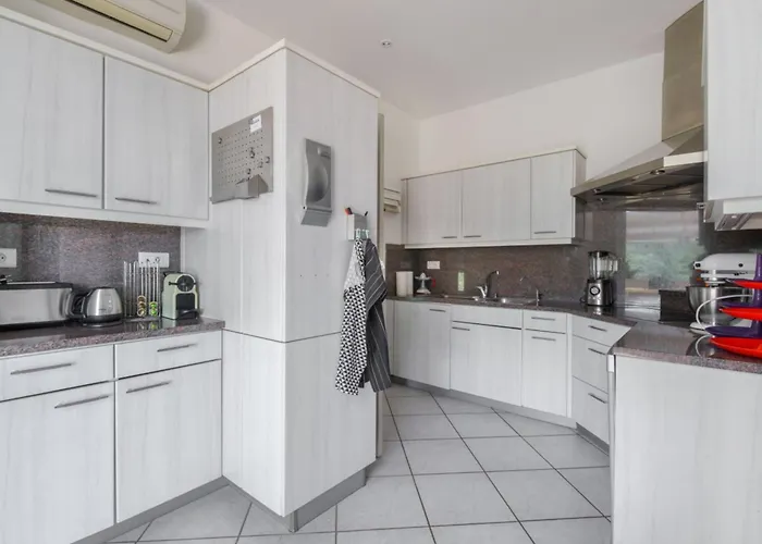 Large With Swimming Pool And Terraces